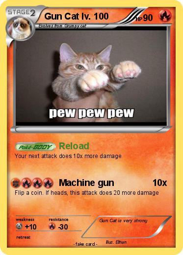 Pokemon Gun Cat lv. 100