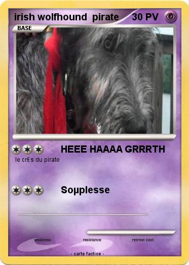 Pokemon irish wolfhound  pirate