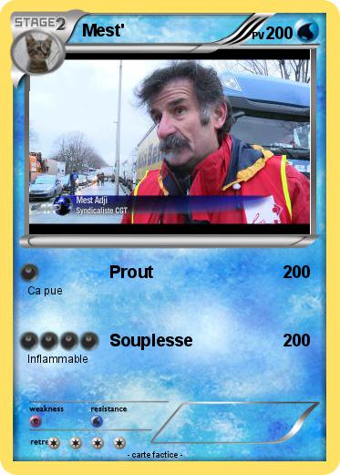 Pokemon Mest'