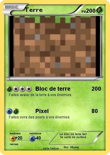 Pokemon Terre