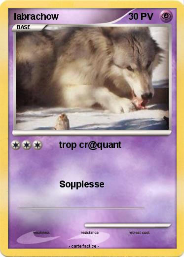 Pokemon labrachow