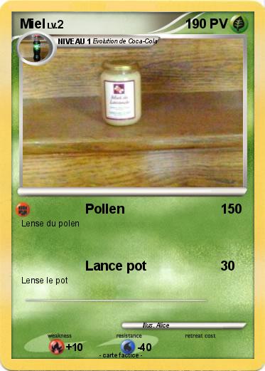 Pokemon Miel