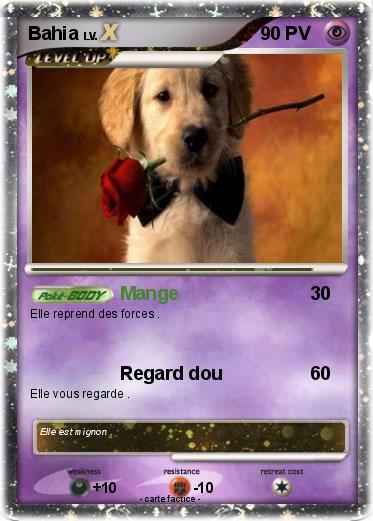 Pokemon Bahia