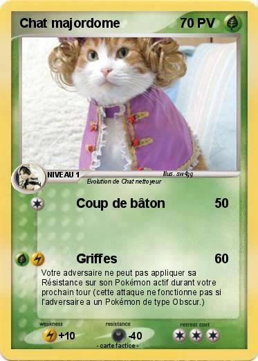 Pokemon Chat majordome