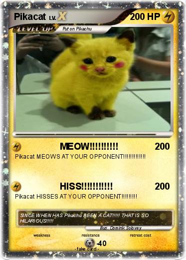 Pokemon Pikacat