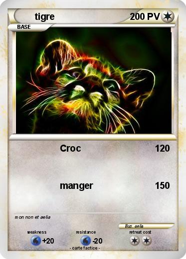 Pokemon tigre