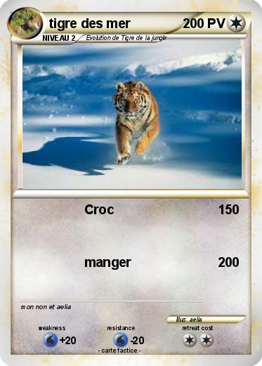 Pokemon tigre des mer