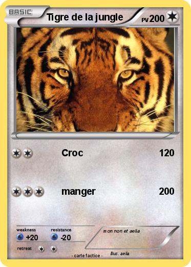 Pokemon Tigre de la jungle