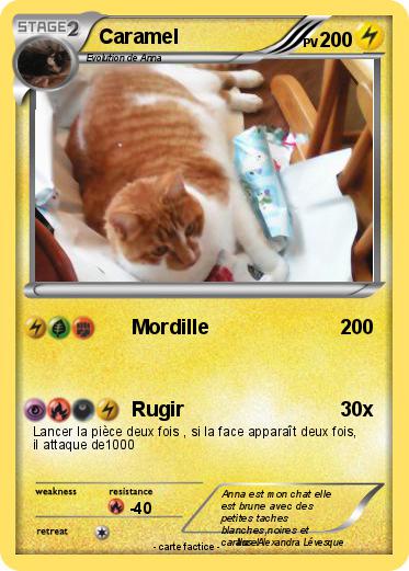 Pokemon Caramel