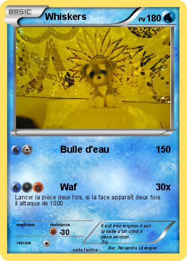Pokemon Whiskers