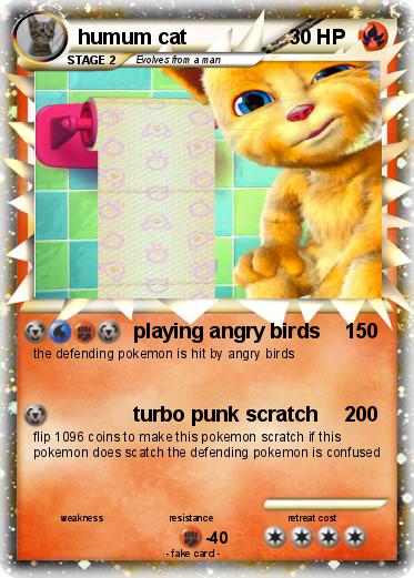 Pokemon humum cat
