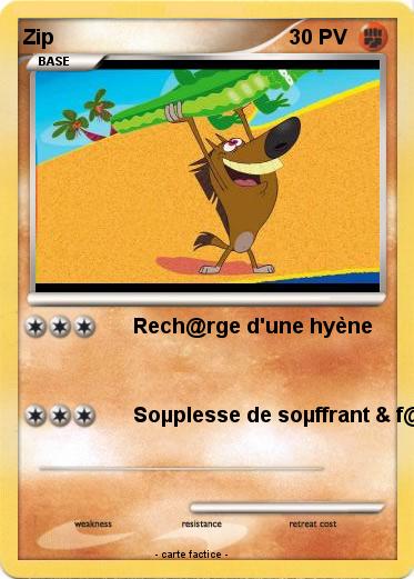 Pokemon Zip