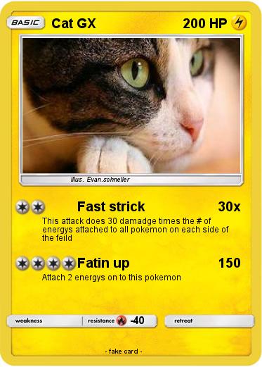 Pokemon Cat GX