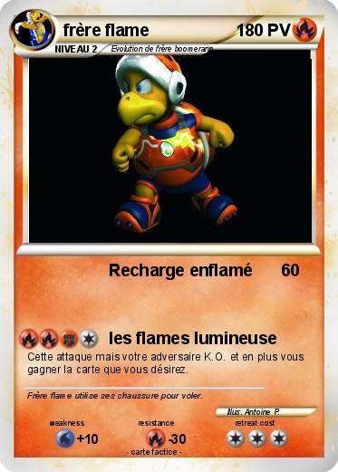 Pokemon frère flame
