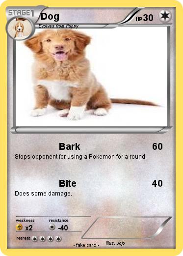 Pokemon Dog