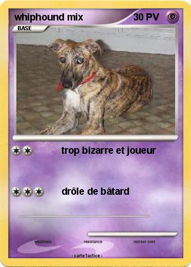 Pokemon whiphound mix