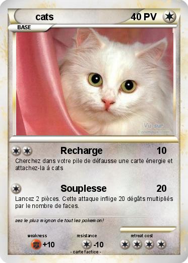 Pokemon cats