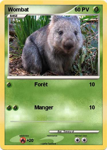 Pokemon Wombat