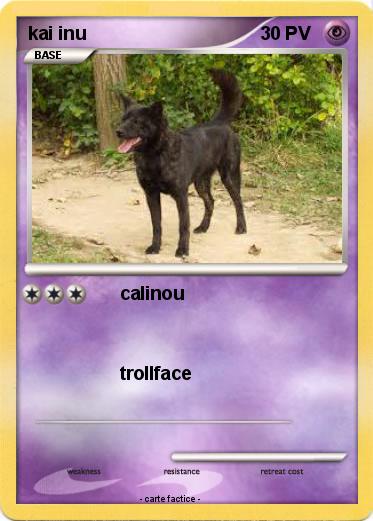 Pokemon kai inu