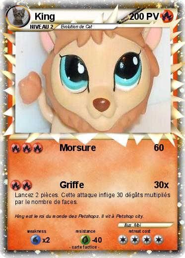 Pokemon King