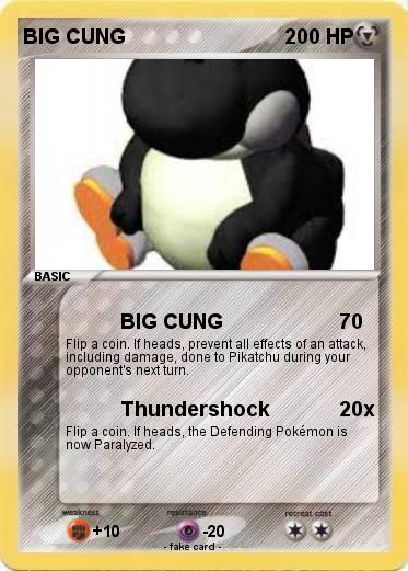 Pokemon BIG CUNG