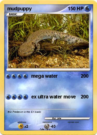 Pokemon mudpuppy