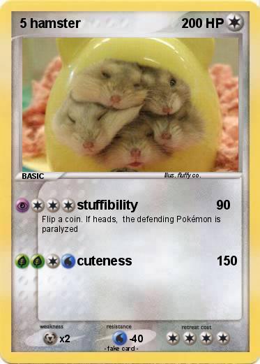 Pokemon 5 hamster
