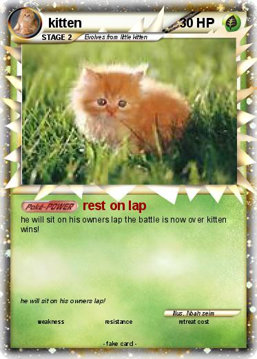 Pokemon kitten