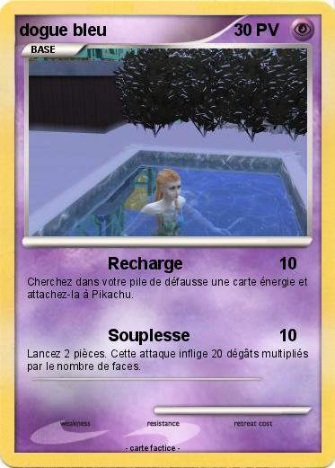 Pokemon dogue bleu