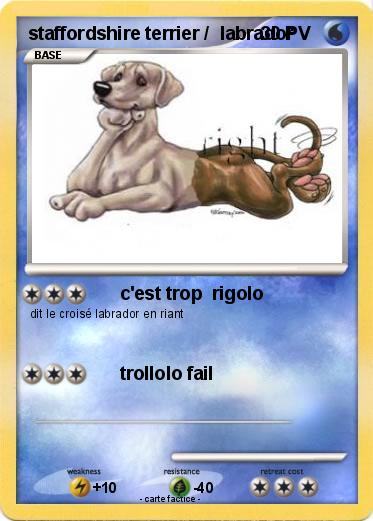 Pokemon staffordshire terrier /  labrador