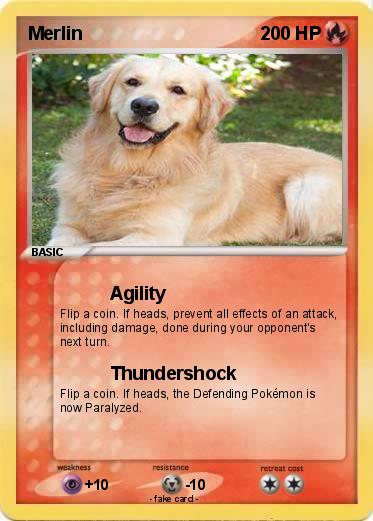 Pokemon Merlin