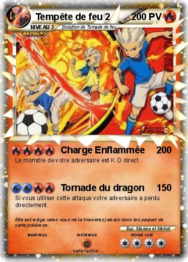 Pokemon Tempête de feu 2