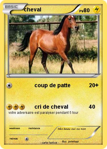 Pokemon cheval