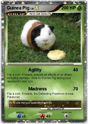 Pokemon Guinea Pig