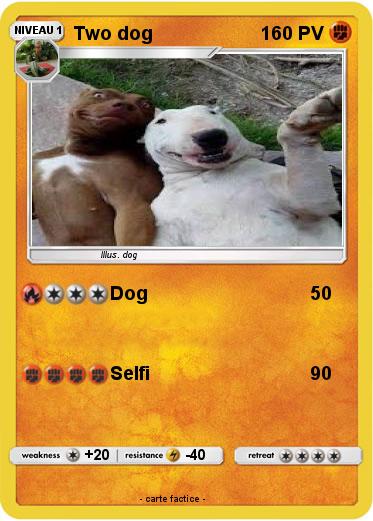 Pokemon Two dog
