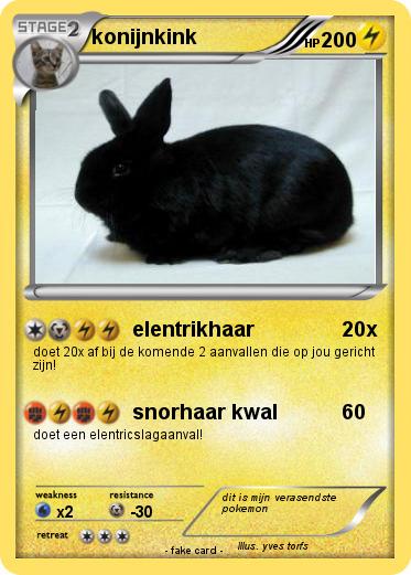 Pokemon konijnkink