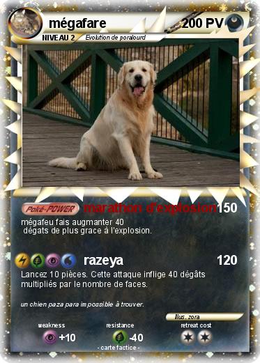 Pokemon mégafare