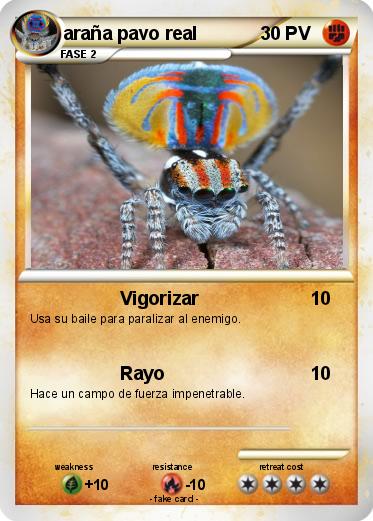 Pokemon araña pavo real