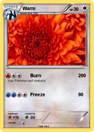Pokemon Warm