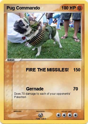 Pokemon Pug Commando