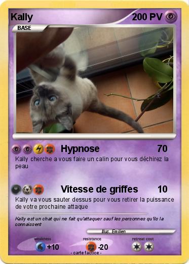Pokemon Kally