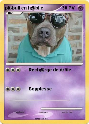 Pokemon pit-bull en h@bile