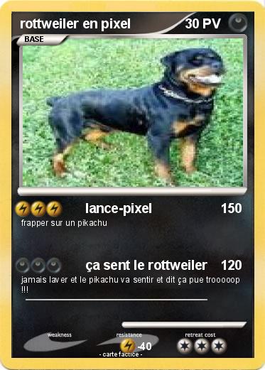 Pokemon rottweiler en pixel