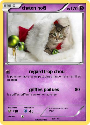 Pokemon chaton noël