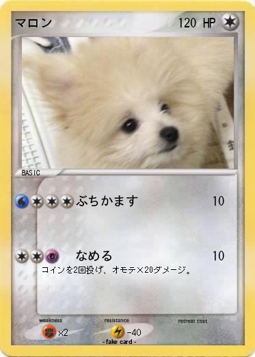 Pokemon マロン