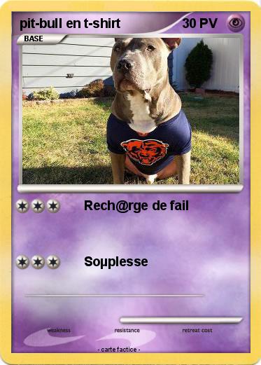 Pokemon pit-bull en t-shirt