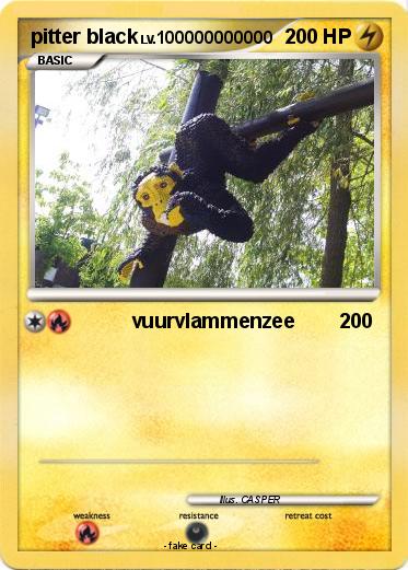 Pokemon pitter black