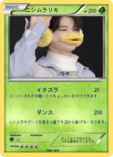 Pokemon ニシムラリキ