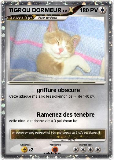 Pokemon TIGROU DORMEUR