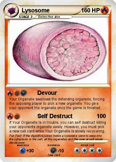Pokemon Lysosome